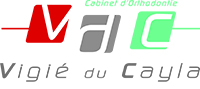 3logo-vdc